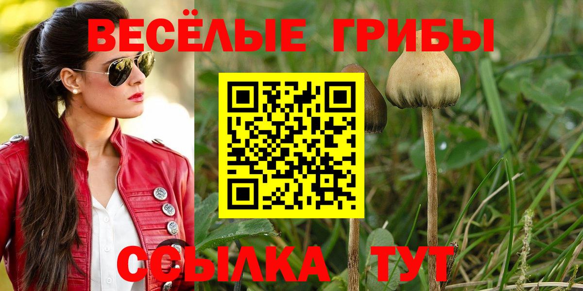Галлюциногенные грибы Cubensis Бирск
