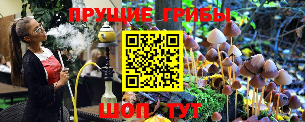 Галлюциногенные грибы Psilocybe  Вход с VPN  Бирск 
